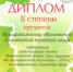 Экологи Лысьвы – почетное второе место в Пермском крае - Администрация г.Лысьва