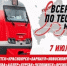 Всероссийская акция по бесплатному анонимному  экспресс-тестированию на ВИЧ-инфекцию - Администрация г.Лысьва