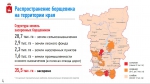 Опасно: борщевик!