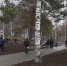 В Детском парке прошёл субботник - Администрация г.Лысьва