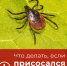 1.png - Администрация г.Лысьва