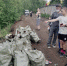 В День молодежи неравнодушные лысьвенцы вышли на экологический субботник - Администрация г.Лысьва