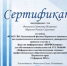 «ИНФОумники» Лысьвенского филиала - Лысьвенский филиал ПНИПУ