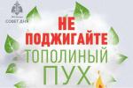 Не поджигайте тополиный пух!
